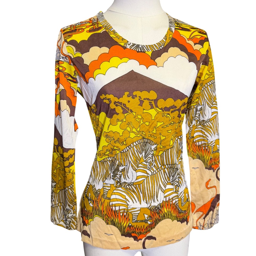 Vintage 70s Psychedelic Zebra Mountain Graphic Long Sleeve Top Retro Boho Indie